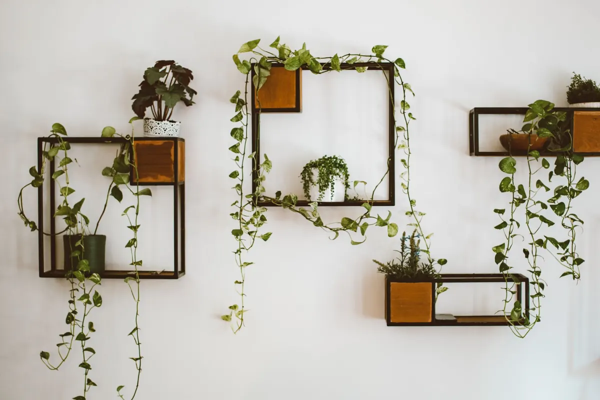 Floating vs. Freestanding Shelving for Plant Displays: Which Is Right for Your Home?