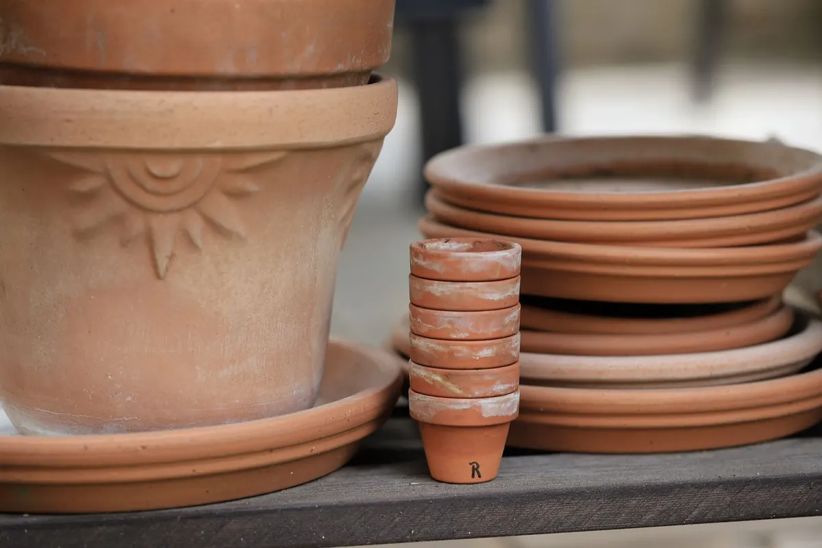 Terracotta vs. Ceramic Planters: Which Is Better for Indoor Plants?